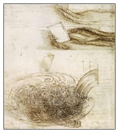Leonardo Da Vinci's Sketches
